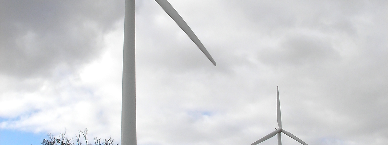Sustainable Investing Overview